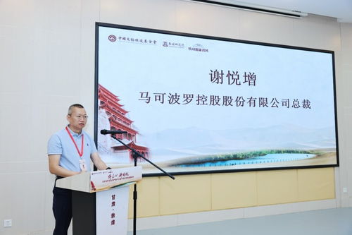 传匠心 铸国魂 马可波罗文化遗产保护公益行动点亮敦煌莫高窟