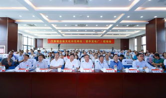 江苏省企业文化示范单位现场会暨望亭发电厂文化艺术交流活动纪实